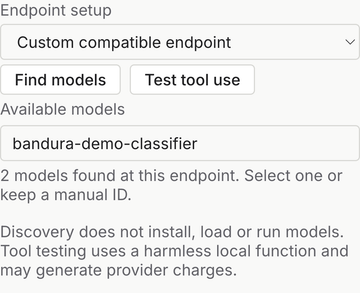 Local model setup controls showing Find models, Test tool use, a selected discovered model, and a message that two models were found