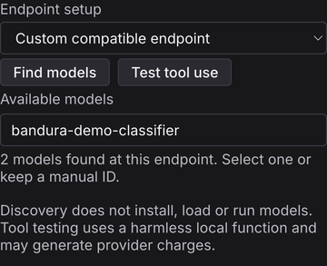 Local model setup controls showing Find models, Test tool use, a selected discovered model, and a message that two models were found